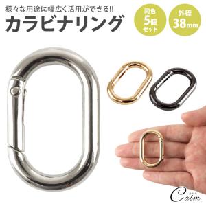 カラビナ 楕円型 楕円形 キーリング オーバル ...の商品画像
