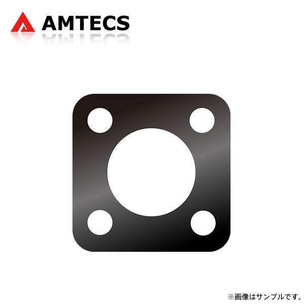 AMTECS アムテックス リアキャンバープレート ±1.00°(1°0&apos;) 1枚 マーチ K13 ...