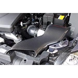 オートエクゼ AutoExe スポーツインダクションボックス(エアフィルター