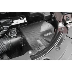 オートエクゼ AutoExe ラムエアインテークシステム 旧製品(MSE959