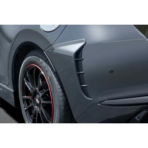 AutoExe オートエクゼ DJ-07 リアサイドカウル マシーングレープレミアムメタリック マツ...