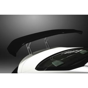 BLITZ（ブリッツ） エアロスピード フロントリップスポイラー FRP 未