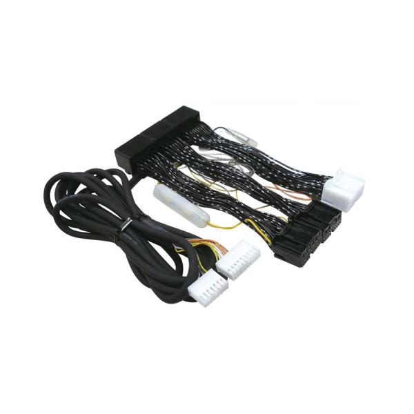 データシステム エアサス＆アクティブサスコントローラー 車種別専用ハーネス H-079