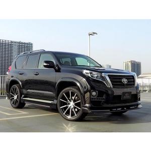 リミテッドチトセ RICK'S エアロマッドガード フロント用 左右セット