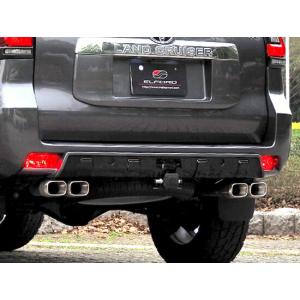 リミテッドチトセ RICK'S アシストミラーホールカバー 後期 純正カラー