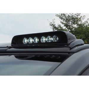 ロードハウス カディス 構造変更用ウインカーキット 未塗装品 デリカD