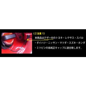 hasepro ハセプロ マジカルカーボン フ...の詳細画像3