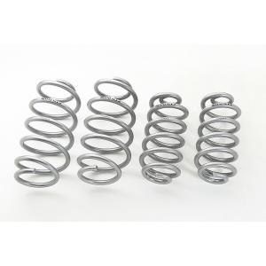 RSR RS-R Ti2000 ダウンサス/マーチ(AK12/BK12/YK12) 12c/12SR/12S/14e