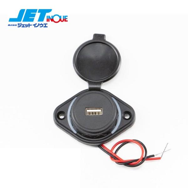JETINOUE ジェットイノウエ USBソケット UCC-310-1U [商品コード：502212...