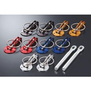 RACING GEAR（レーシングギア） RG 車高調 ZXダンパー 標準仕様