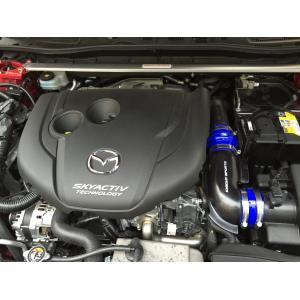 オートエクゼ オートエグゼ(AUTOEXE) スポーツインダクションボックス