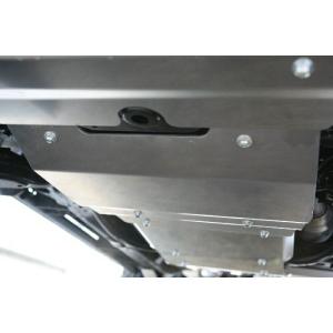 TGS X-Fang サクションチャンバーN3600S FJクルーザー GSJ15W 2010