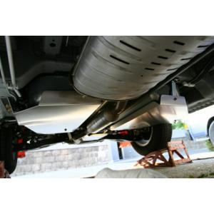 X-Fang カーボンセンターグリル デリカD:5 CV1W CV5W H19.1〜R1.10 4WD
