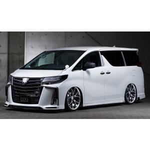 M'z SPEED 4点キット 塗り分け塗装 (070/202) ABS アルファード AGH30W...