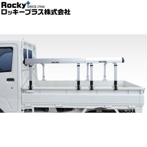 APEXi アペックス ECV φ51フランジ汎用タイプ TypeA 北海道・沖縄