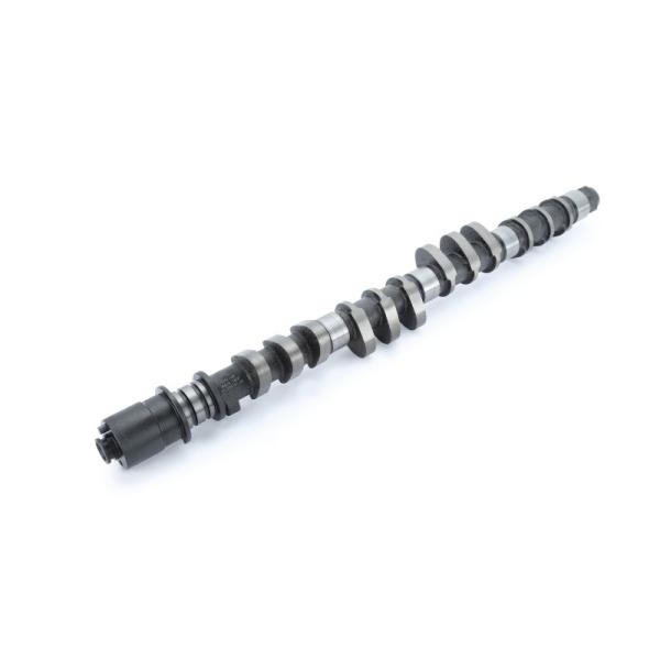 RSE リアルスピードエンジニアリング カムシャフト単品 スペックR IN 306-11.00 スプ...