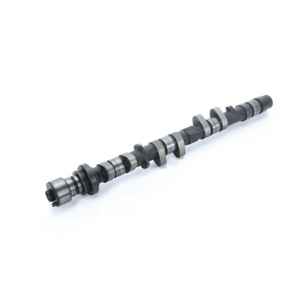 RSE リアルスピードエンジニアリング カムシャフト単品 スペックR IN 290-10.00 カロ...