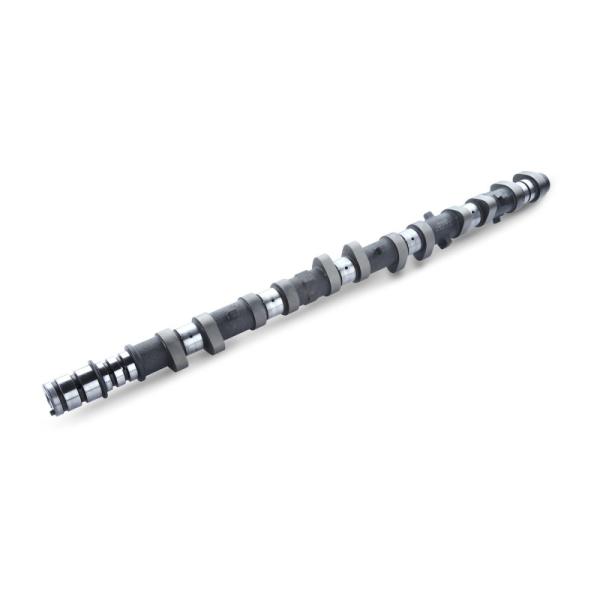 RSE リアルスピードエンジニアリング カムシャフト単品 スペックR IN 290-11.00 アリ...