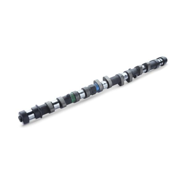 RSE リアルスピードエンジニアリング カムシャフト単品 スペックS EX 260-9.10 アリス...