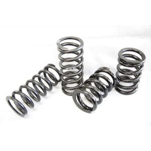 シュピーゲル レーシングスペック ハイレートリアスプリング 10K