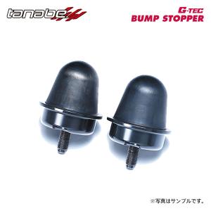 TANABE tanabe タナベ サステック DF210 ダウンサス 1台分