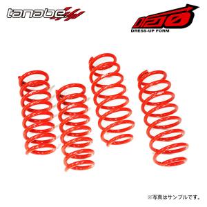 TANABE（タナベ） サステック DF210 ダウンサス 1台分 アクア NHP10