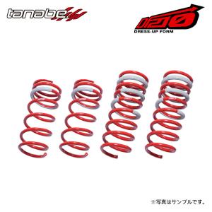 TANABE（タナベ） サステック DF210 ダウンサス 1台分 N-VAN JJ1 H30.7