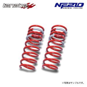 TANABE（タナベ） サステック NF210 ダウンサス 1台分 N-BOXカスタム