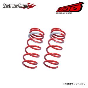 TANABE（タナベ） サステック DF210 ダウンサス フロントのみ エブリイ