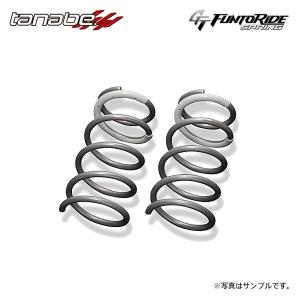 TANABE（タナベ） GT ファントライド スプリング フロントのみ