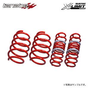 TANABE タナベ SUSTEC X-LIMIT SPRING 1台分 ランドクルーザー