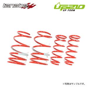 TANABE（タナベ） ディバイド UP210 アップサス フロントのみ キューブ