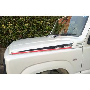 ORSタニグチ シエラ用2段調整サイドステップ ステンレス 右用 ジムニー