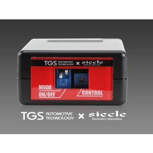 TGS X-Fang ビレットアシストグリップ タイプC シルバー FJクルーザー