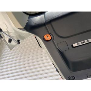 TGS X-Fang スパイスレーシングネット リミテッドカラー