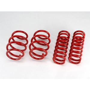 TGS X-Fang スパイスレーシングネット リミテッドカラー