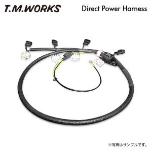 T.M.WORKS ダイレクトパワーハーネスキット 86 ハチロク ZN6
