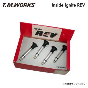 T.M.WORKS インサイドイグナイトレブ ステラ RN1 RN2 H18.6〜 EN07