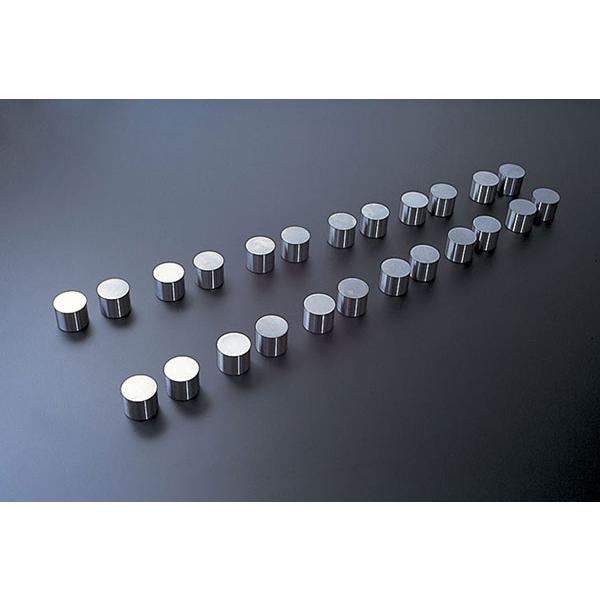 東名パワード バルブリフター（ベース円Φ30用） スカイラインGT-R BNR32 RB26DETT