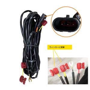 トヨタ ライズ 2019y- フロント LED...の詳細画像1