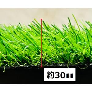 人工芝 30mm 2×10 幅2m × 長さ1...の詳細画像5