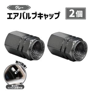 エアバルブ キャップ レッド 赤 2個 セット アルミ 車 バイク タイヤ