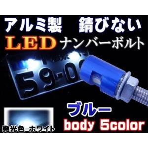 アルミナンバーボルト 青 ブルー LEDナンバーボルト 汎用 防水 バイク LEDナンバー灯ボルト LED内臓ボルトナンバー灯 ボルトLED