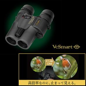 双眼鏡 手ブレ補正機能付き 高性能 14倍 コンパクト 軽量 フルマルチコーティング Kenko ケンコー VCスマート