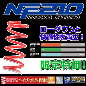 タナベ NF210 1台セット ヴェルファイア AGH30W 2018.1.1〜 AGH30WNK