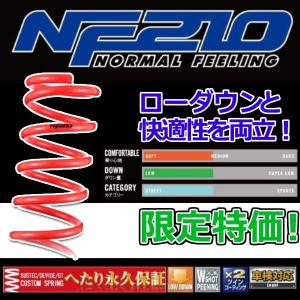 新品未使用】タナベ NF210 1台分セット N-ONE JG1 JG1PNK