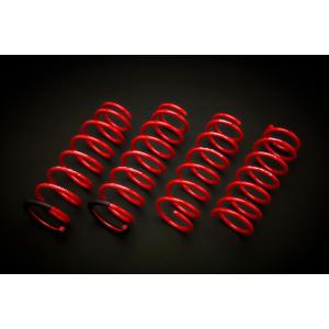 Tsuda Racing 津田レーシング DAMSEL ユーロサスペンションキット