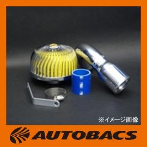 トライフォースカンパニー Airforce インテークキット 前向き 110326