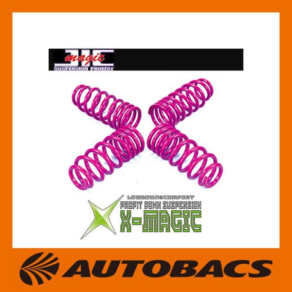 JIC PROFIT DOWN SUSPENSION X-MAGIC ニッサン スカイラインGT-R...