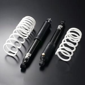 Tsuda Racing 津田レーシング DAMSEL ユーロサスペンションキット